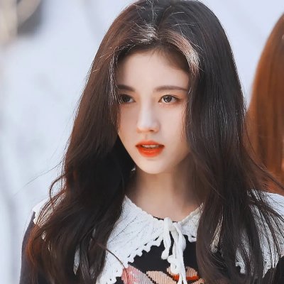 托梅斯的导盲犬